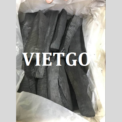 thanden1-vietgo-210119